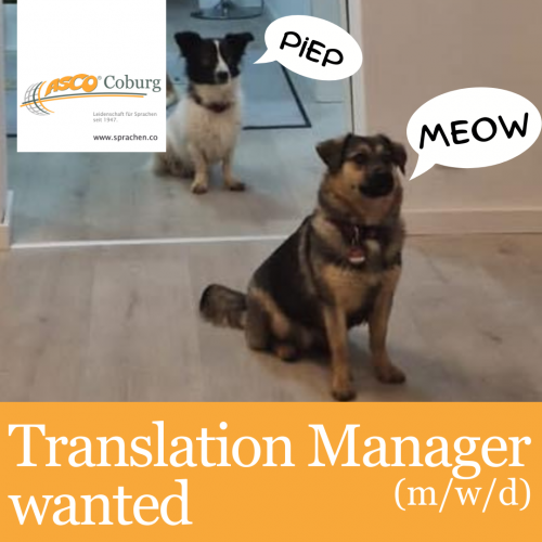 Translation-manager-wanted